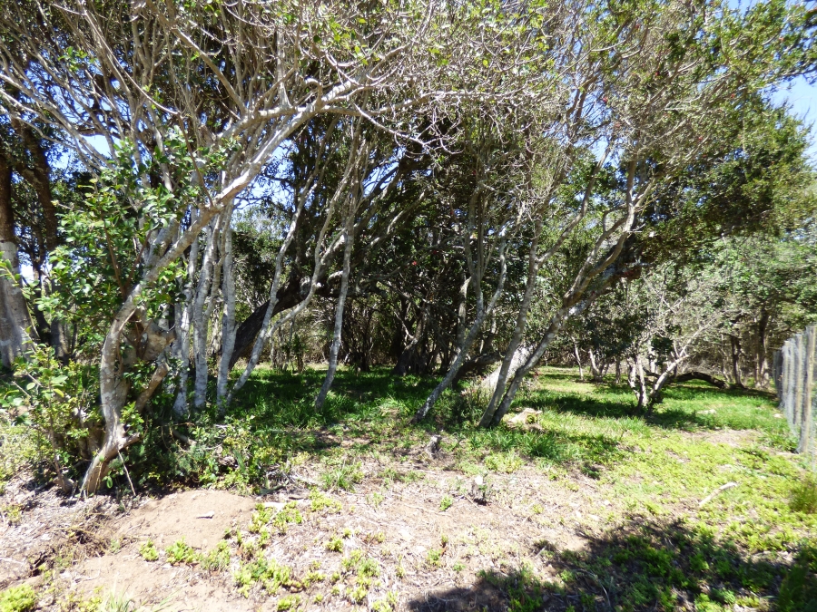 0 Bedroom Property for Sale in Kleinemonde Eastern Cape